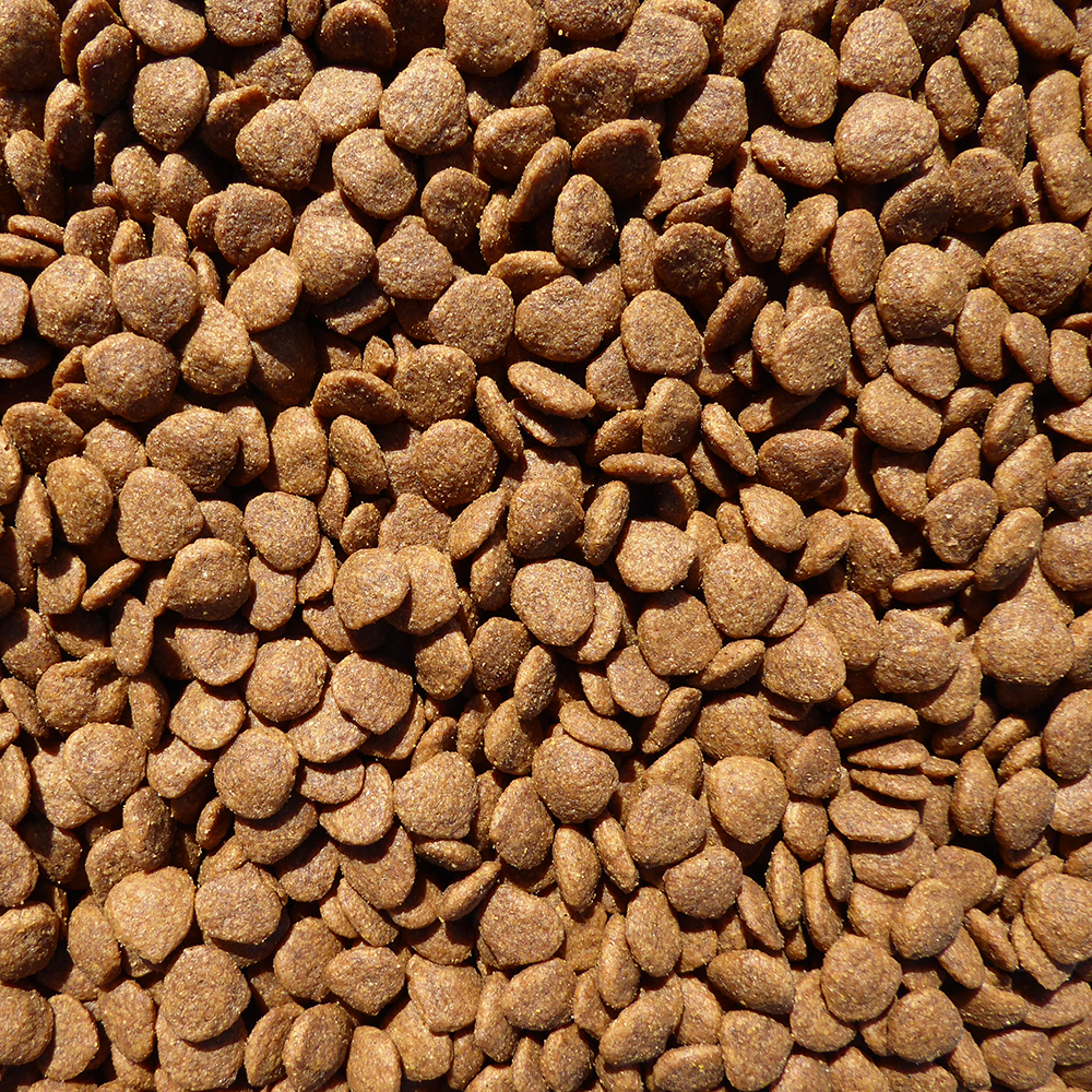 SKYTTENS KAT 15 kg. - Billede 2